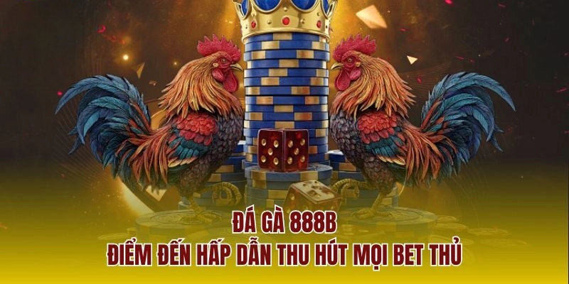 Đá Gà 888b – Thiên Đường Giải Trí Tỷ Lệ Chiến Thắng Cao